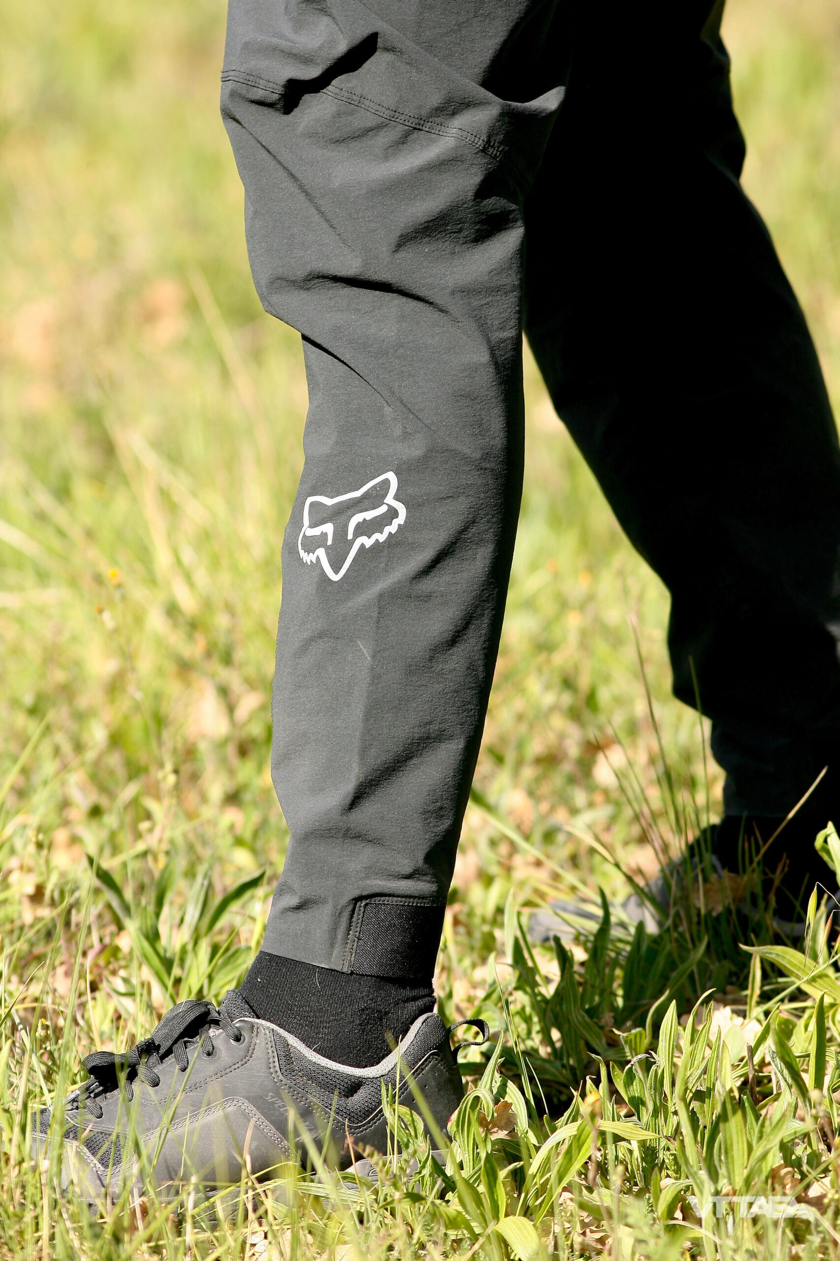 Pantalon vtt homme outlet fox