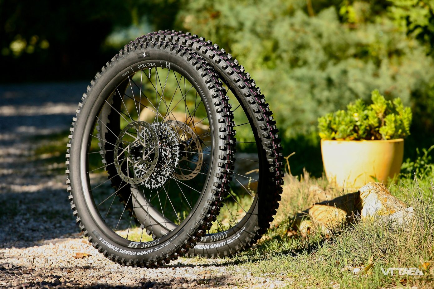 Pneu VTT Schwalbe Shredda Rear 29x2.50 TLR Gravity Pro Addix Ultra Soft Souple